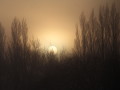 Sunrise through Mist, Guiseley